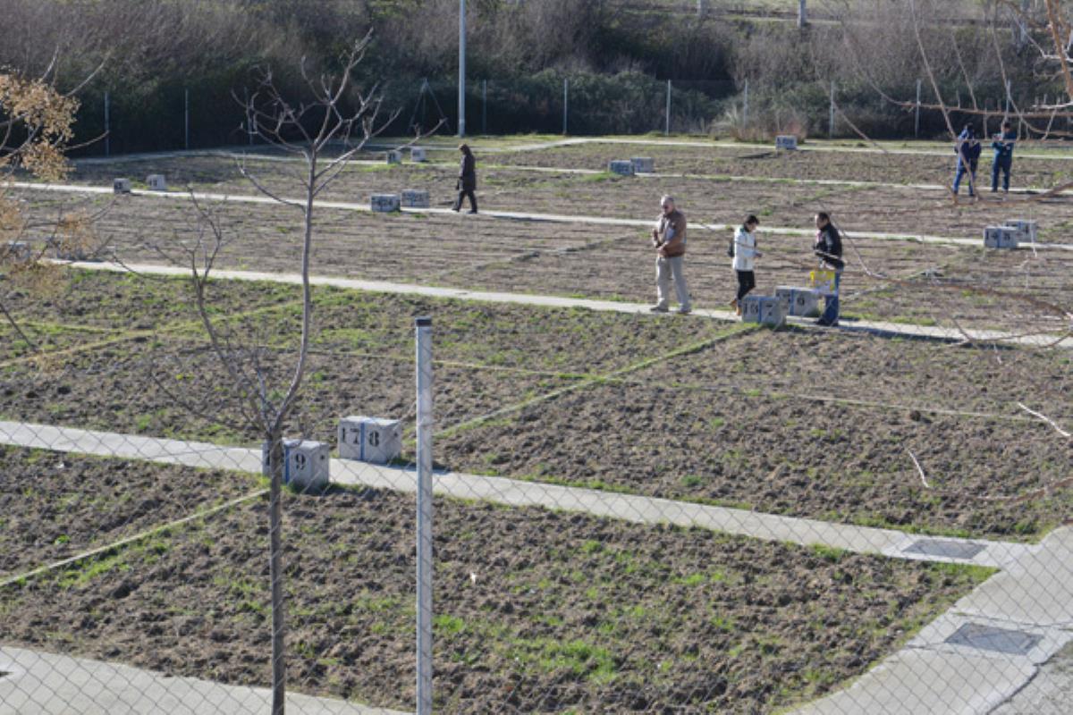 El plazo de presentación de solicitudes es de 15 días naturales desde el 20 de noviembre