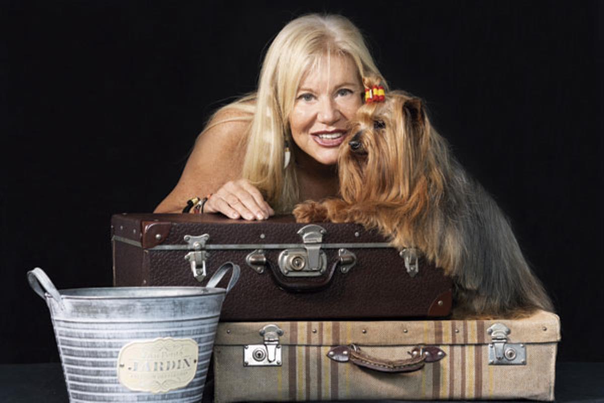 En 2017 fueron abandonados durante el verano 104.834 perros, pero el porcentaje es similar en todos los cuatrimestres