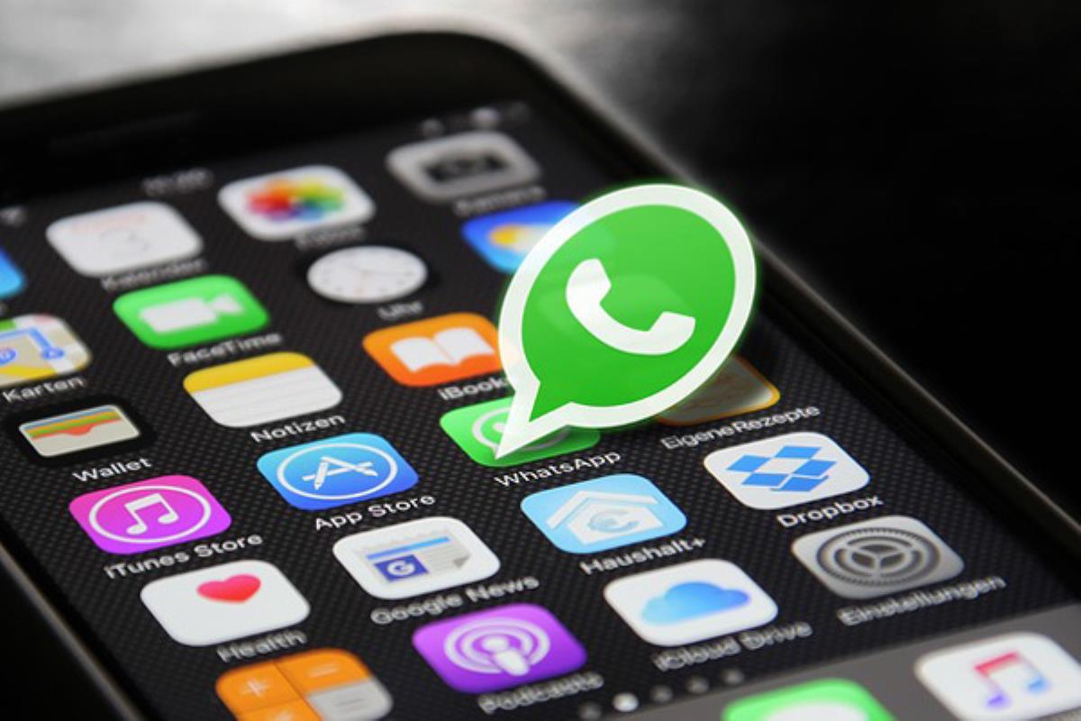 Accede al servicio enviando un mensaje de WhatsApp a los números indicados