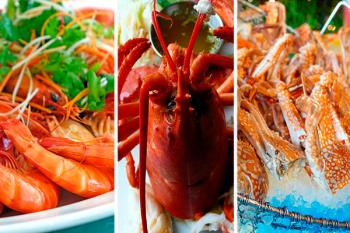 AECOSAN nos avisa de que el consumo excesivo de este metal presente en mariscos, es perjudicial para la salud a largo plazo