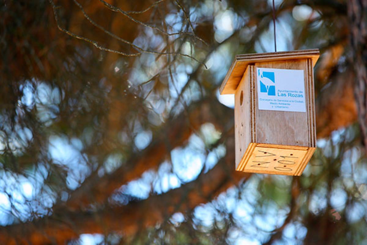 Debido a las altas temperaturas y a la prohibición del uso de fitosanitarios, se han puesto en marcha nuevas medidas