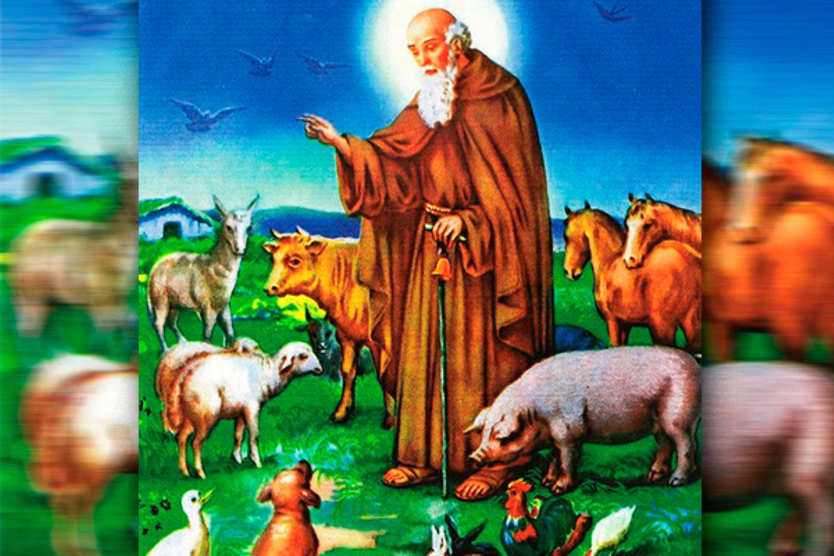 Entre el 16 y el 19 de enero se celebrará la programación de estas fiestas dedicadas a los animales