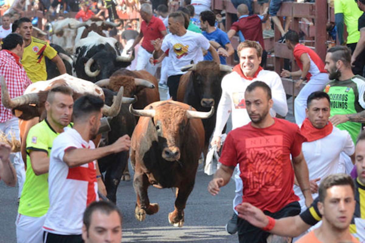 Cada autor podrá presentar dos obras relacionadas con estos eventos taurinos