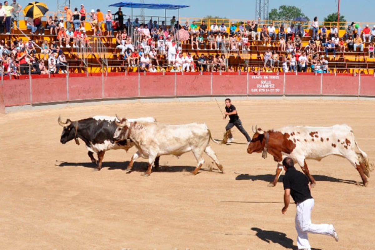 De esta forma el consistorio pretende devolver “ambiente y vida de calle” durante las Fiestas Patronales