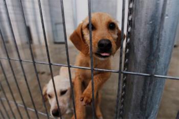 El centro será coordinado conjuntamente con Alcobendas