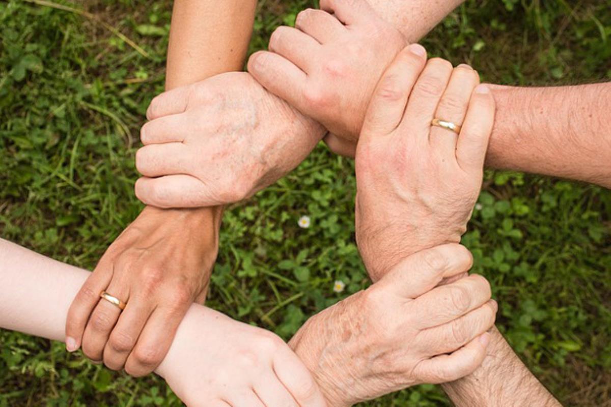Conoce las acciones de voluntariado en Majadahonda