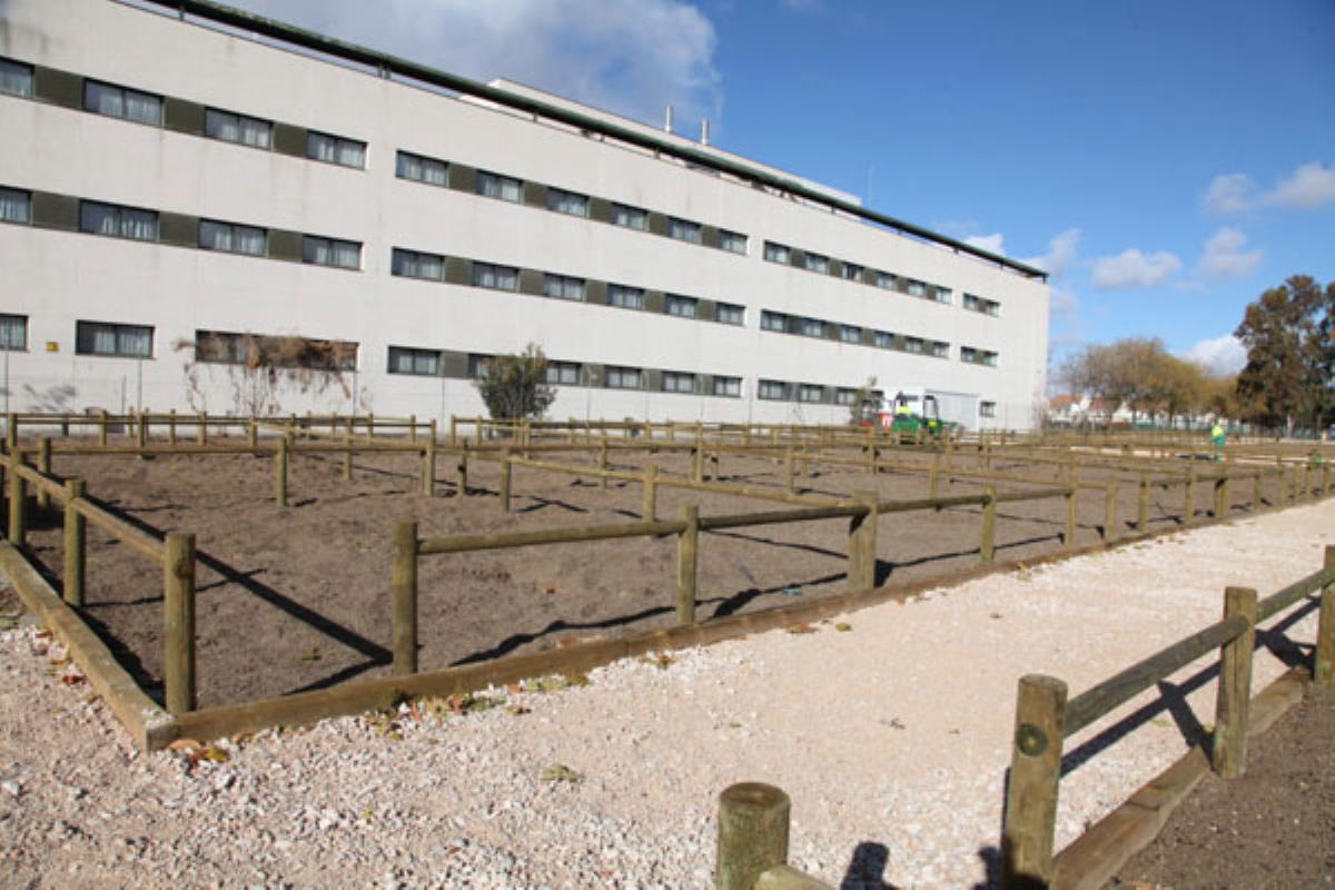 Serán para personas con necesidades especiales, discapacidad, familias y menores en riesgo de exclusión social