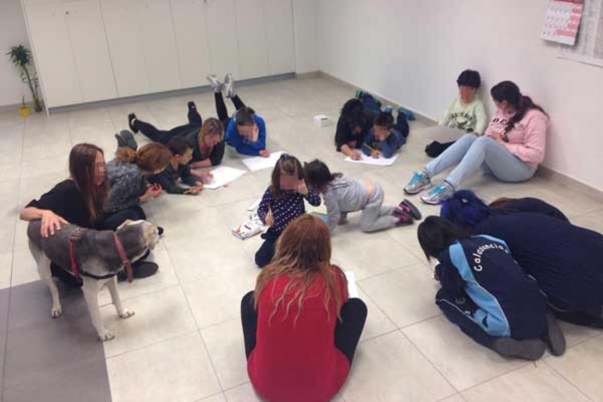 Los asistentes realizarán actividades grupales con perros de asistencia, para mejorar sus capacidades comunicativas y relacionales
