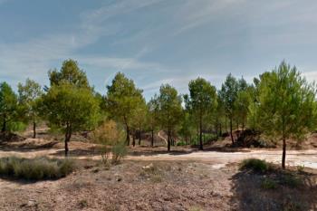 Este año GN Medio Ambiente y voluntarios de Fundación Telefónica repoblarán Alcalá y Coslada