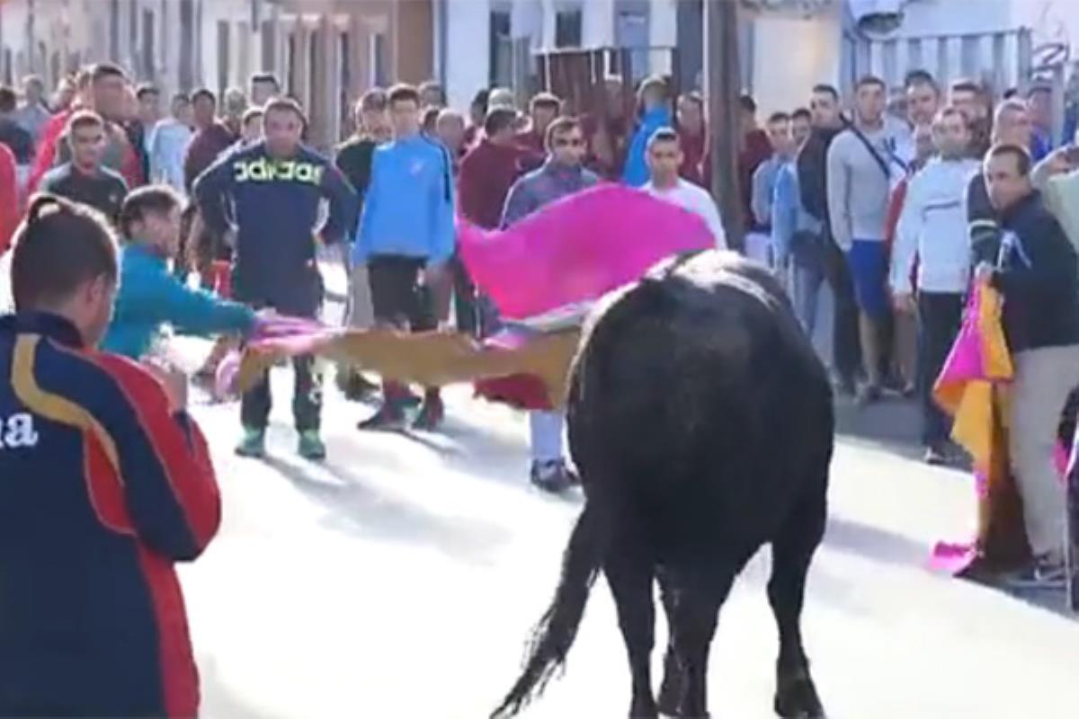 Las toros continúan hoy con la corrida mixta que tendrá lugar esta tarde con
Manuel Díaz el Cordobés, Fran Rivera Paquirri y el novillero Local Sergio Montero