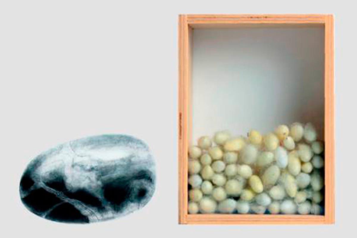 Una exposición que se asienta en el CSC Norte-Universidad de Móstoles hasta el 3 de enero de 2020