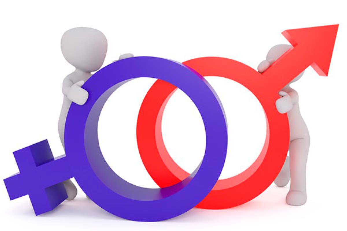 Los espectáculos se desarrollarán todos los domingos de octubre a partir de las 12:00 h en la Plaza de la Constitución