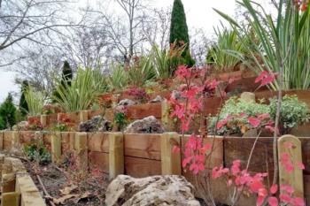 Esta primavera tendrá más color gracias a la combinación de plantas en estas zonas