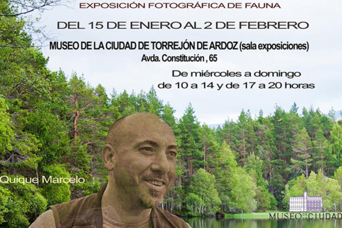 Se ubicarán en los diferentes centros culturales de la ciudad; su entrada es totalmente gratuita