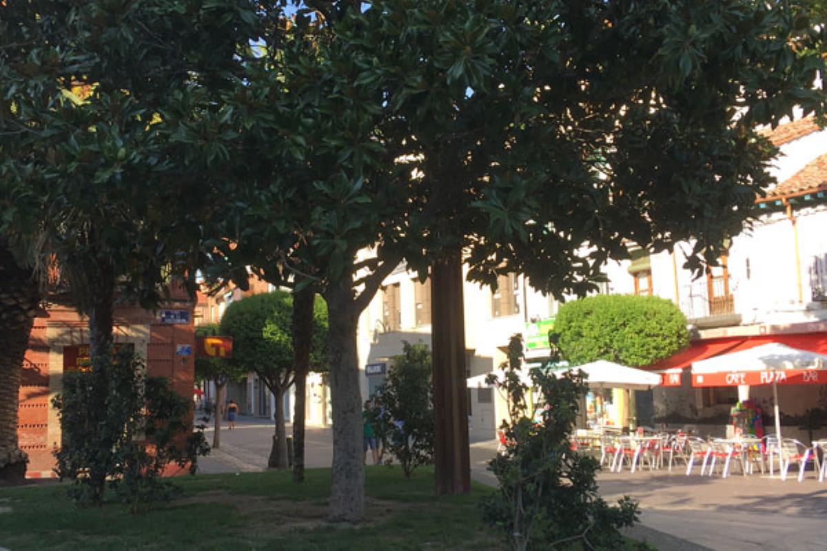 Hoy ha sido el último día que el establecimiento emplazado en la plaza de la Constitución abrirá sus puertas