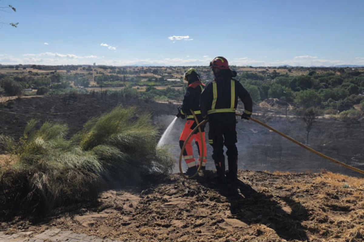 El fuego se desató sobre las 15:40 horas en Parque Coímbra