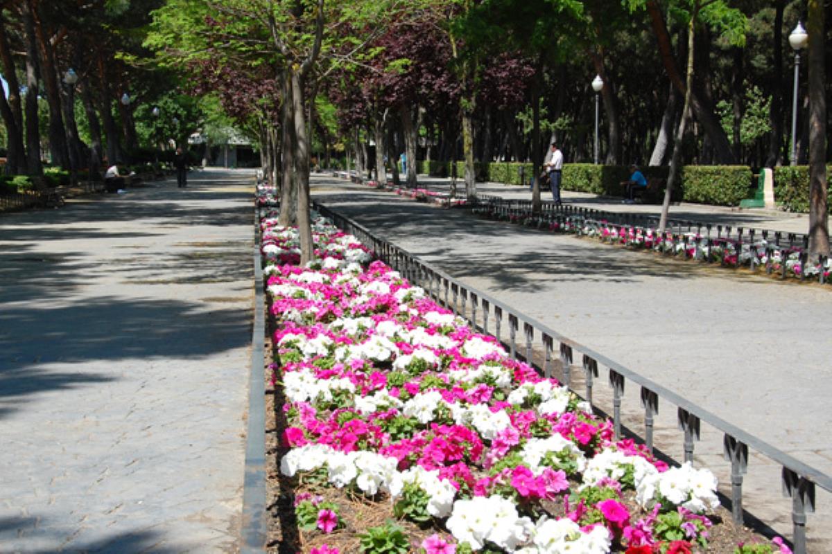 La iniciativa, dentro del programa 'Crea Cultura Móstoles', cederá hasta 20 espacios para llevar a cabo actividades culturales, todos los domingos