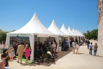 Boadilla celebra su VIII Feria del Libro con firma de libros, exposiciones y caricaturas