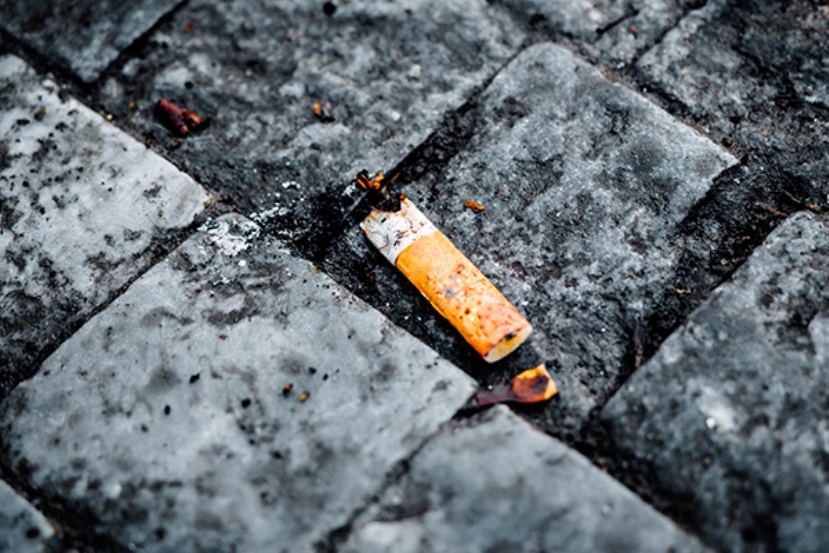 El próximo 29 de diciembre nos espera el último ‘colillatón’ del año en el Parque del Lavadero de Camarma de Esteruelas