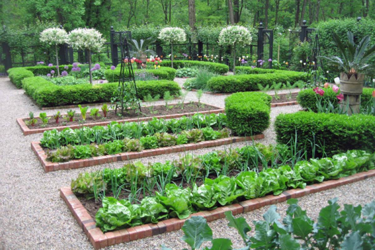 Se desarrollarán "Actividades auxiliares de jardinería urbana" durante el mes de noviembre