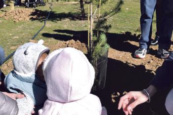 Nuestro municipio continúa con la plantación de árboles en la zona del parque lineal