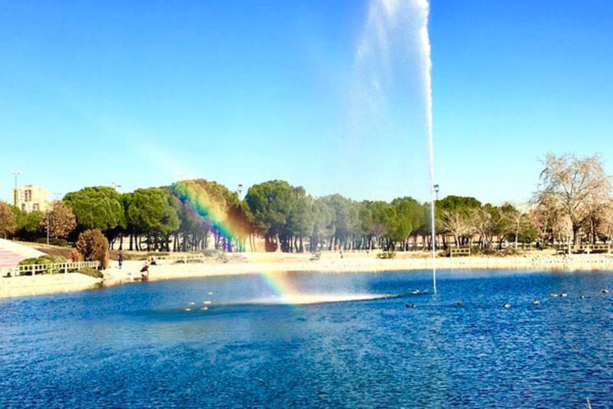 Este es el tercer año consecutivo que se produce la plaga y que el estanque tiene que vaciarse como consecuencia