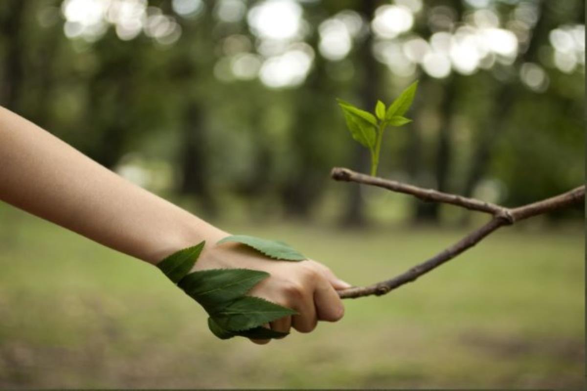 Tendrá una capacidad anual de 18.000 toneladas
