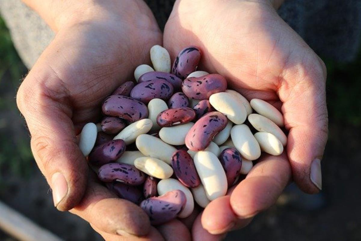 Si acudes con tu donación podrás ver  `Los chismes de las mujeres´ en el Teatro Ana Diosdado