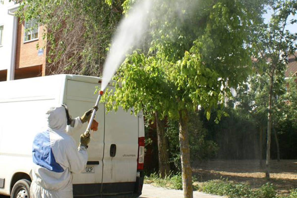 Se recomienda a los vecinos mantener las ventanas cerradas y a las mascotas dentro del hogar