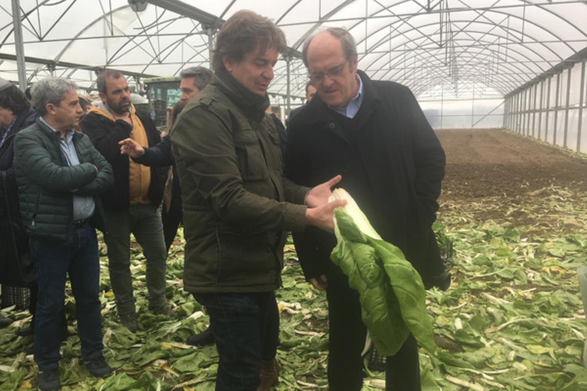 El candidato socialista para la Comunidad de Madrid ha estado acompañado por el alcalde, Javier Ayala