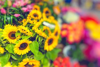 El barrio Salamanca celebra su florido mercado callejero este sábado