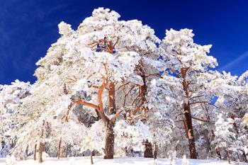 El aula estará impartida por el fotógrafo Javier Puertas