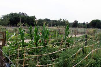 Si quieres inscribirte, rellena y presenta el documento adjunto