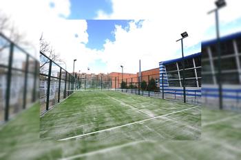 Para cualquier consulta podrán hacerlo en la página web www.deportes-torrejon.es