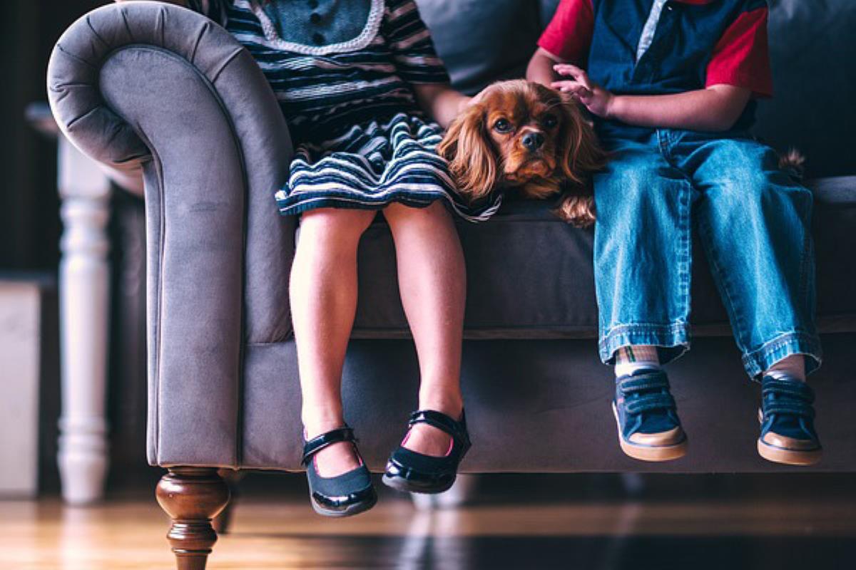 Los vecinos de la localidad aprenderán cómo mejorar la convivencia con sus mascotas y se divertirán compartiendo actividades en el Parque Dolores Ibárruri