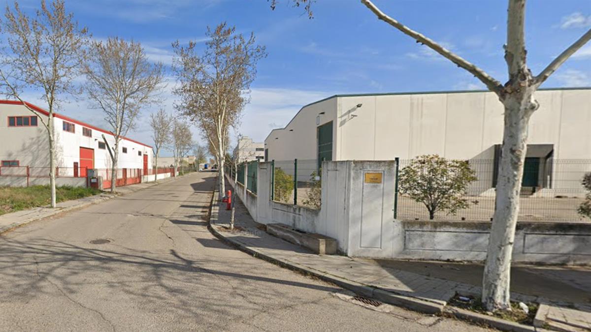 Uno de ellos, un galgo cachorro, huyó del lugar y ahora le están buscando