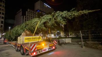 El árbol, de 1,5 toneladas de peso, será una de las grandes novedades y de los principales reclamos del alumbrado navideño de este año