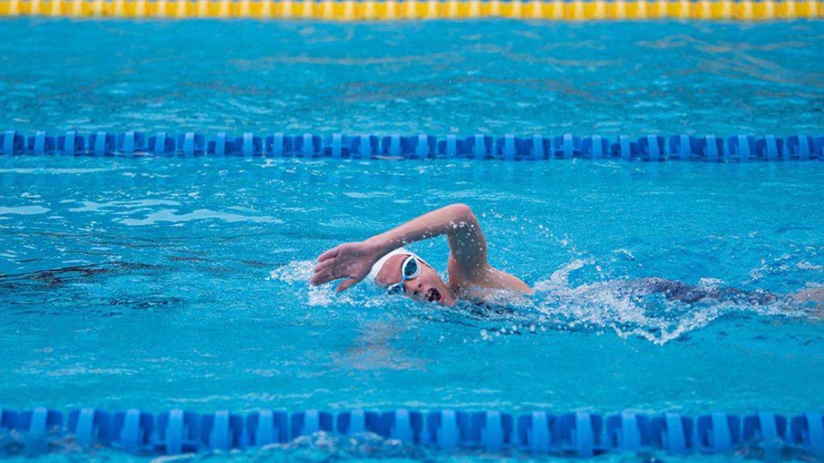 Los cursos tendrán una duración de 12 días divididas en tres plazos