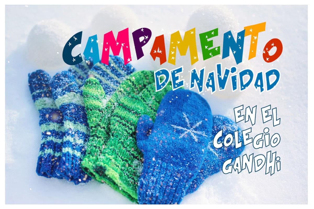 Descubre los horarios, precios y días