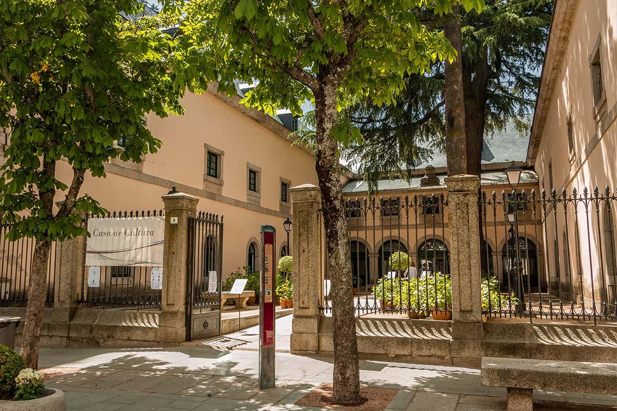 Se han puesto a disposición un total de 175 becas