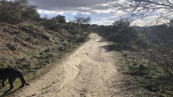 Esta senda une Las Rozas con Torrelodones
