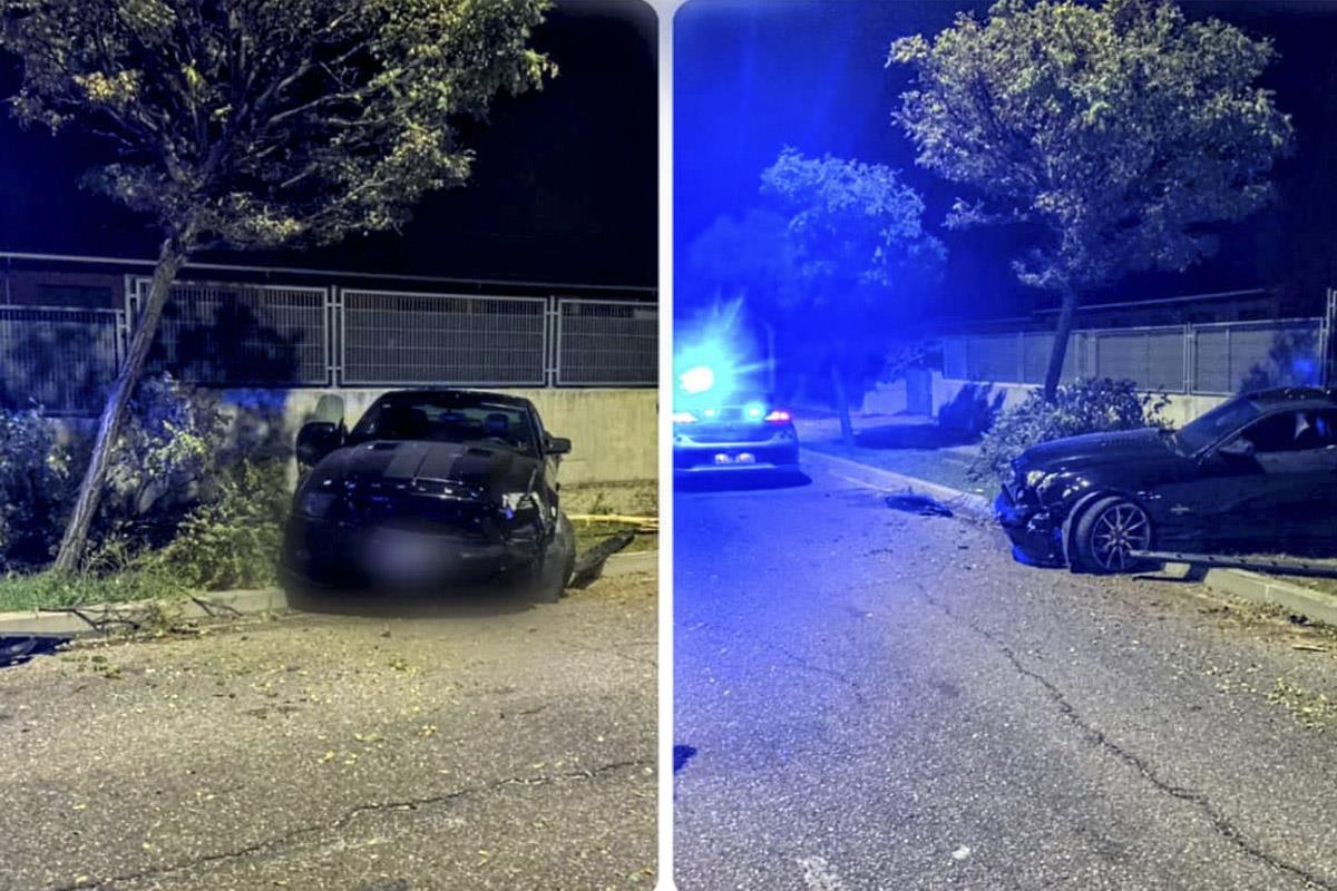 árboles, rotondas o vallas han sido las 'víctimas' de estas colisiones