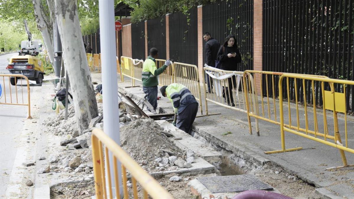 Se suman a la renovación de la iluminación que se lleva a cabo en el mismo tramo
