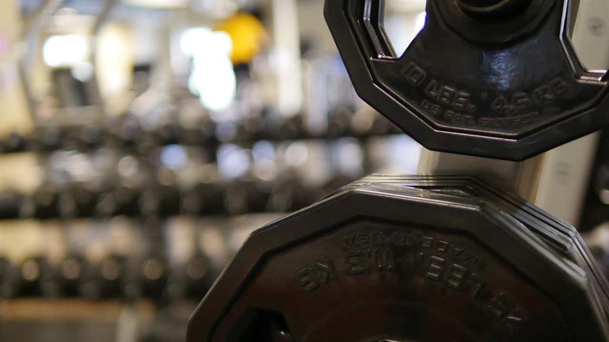 Las nuevas actividades están especialmente destinadas al público adulto