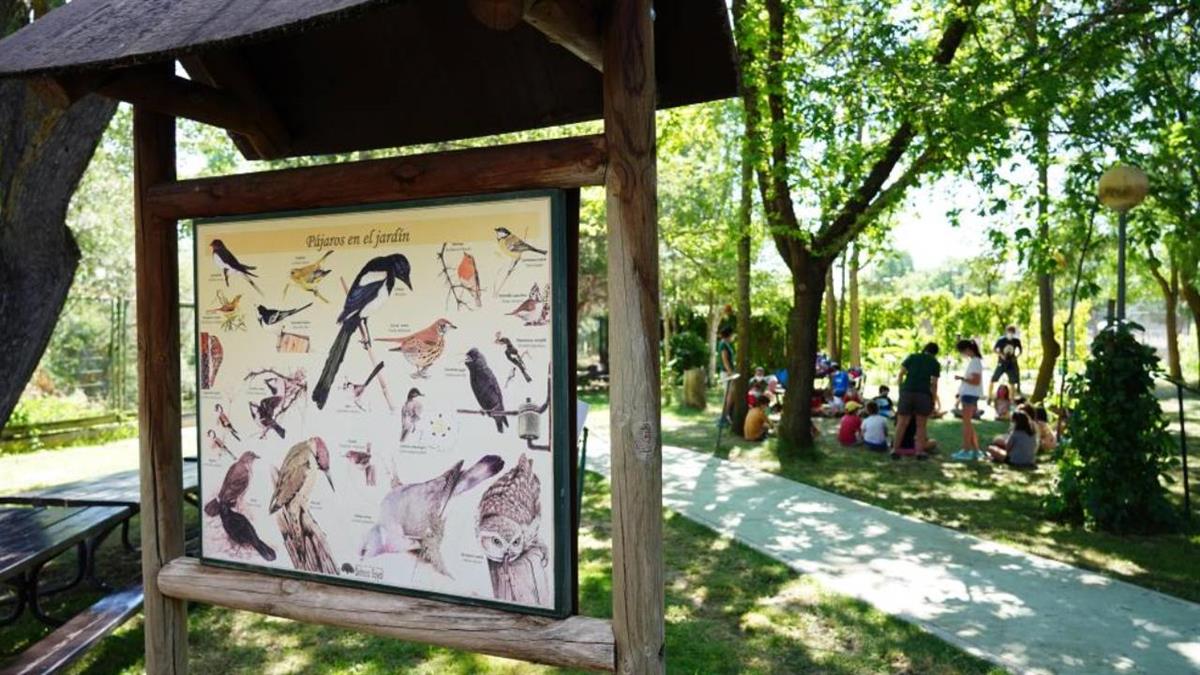 Del 16 al 25 de mayo