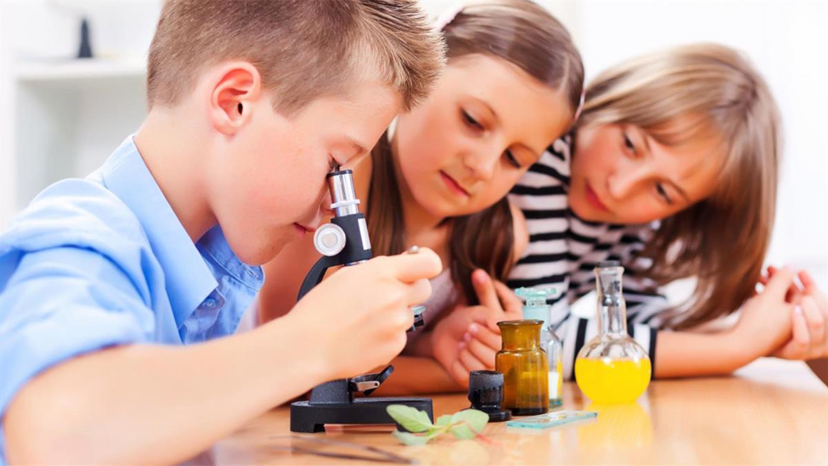 Desde este mes de octubre, la Junta Municipal del Distrito de Villaverde oferta una amplia variedad de actividades extraescolares gratuitas para el presente curso escolar 2021/22.