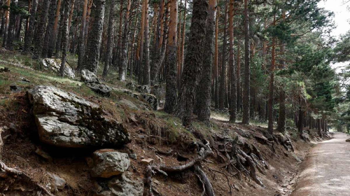 Todas las propuestas están pensadas para todo tipo de públicos