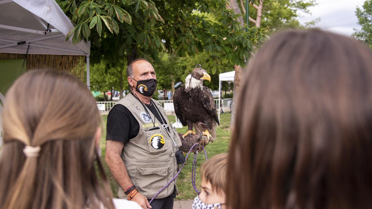 El Gobierno municipal ha organizado esta amplia programación dirigida a las familias 
