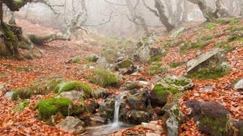 Están destinadas a adolescentes, jóvenes y familias

