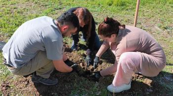 Se inician con la plantación de aromáticas en el entorno del Arroyo Culebro